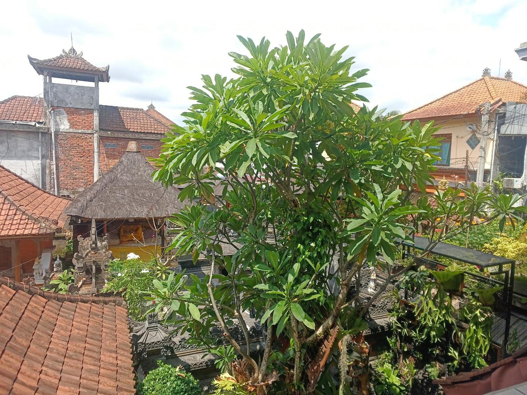 Arjuna Homestay Ubud Exterior photo